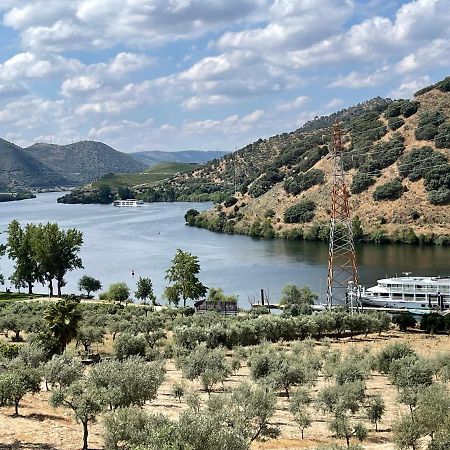 Douro Visit House Villa Torre De Moncorvo Ngoại thất bức ảnh