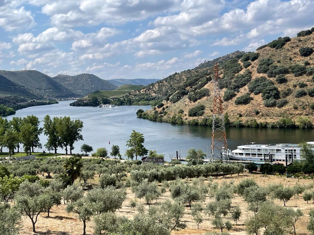 Douro Visit House Villa Torre De Moncorvo Ngoại thất bức ảnh
